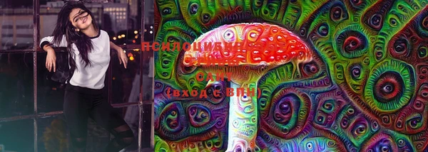 стафф Алексеевка