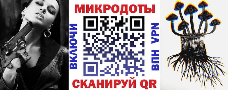 как найти закладки  Сясьстрой  Псилоцибиновые грибы Cubensis 